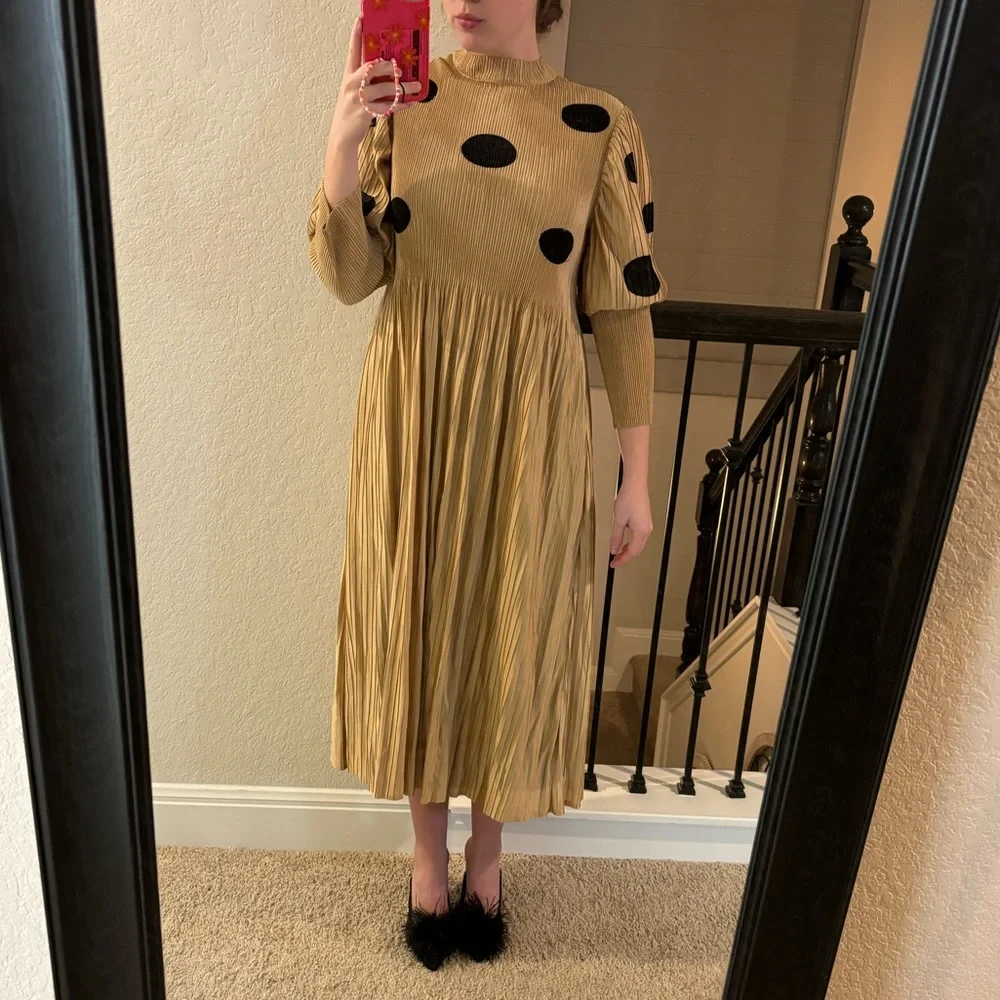 Dotted Pleated Dress - Picture 2 of 4